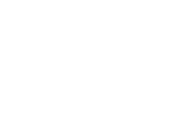 logo-liquid